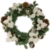 Decorated Cream Colored Poinsettia and Berry Artificial Christmas Wreath, 24-Inch, Unlit