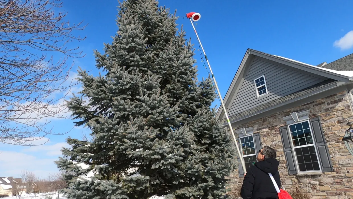 ELF | Easy Light Feeder