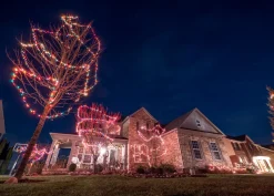 ELF | Easy Light Feeder