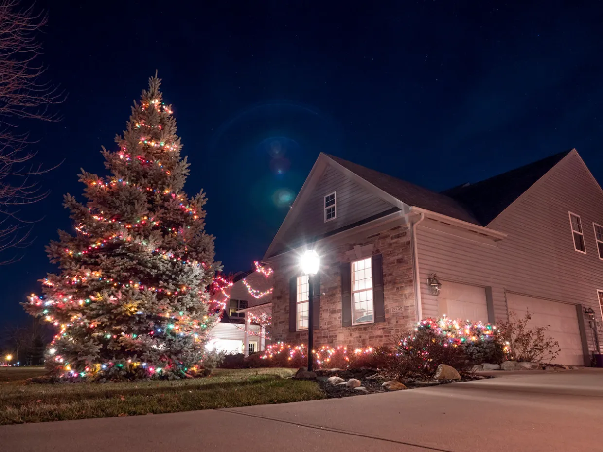 ELF | Easy Light Feeder