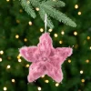Feather Star Glittered Christmas Ornament with Hearts -12" - Pink