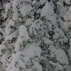 Fiber Optic Lighted Santa in His Sleigh Canvas Wall Art 15.75