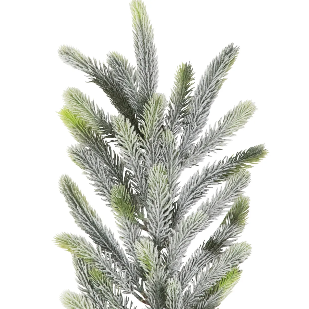 Frosted Pine Artificial Christmas Garland - 6' - Unlit