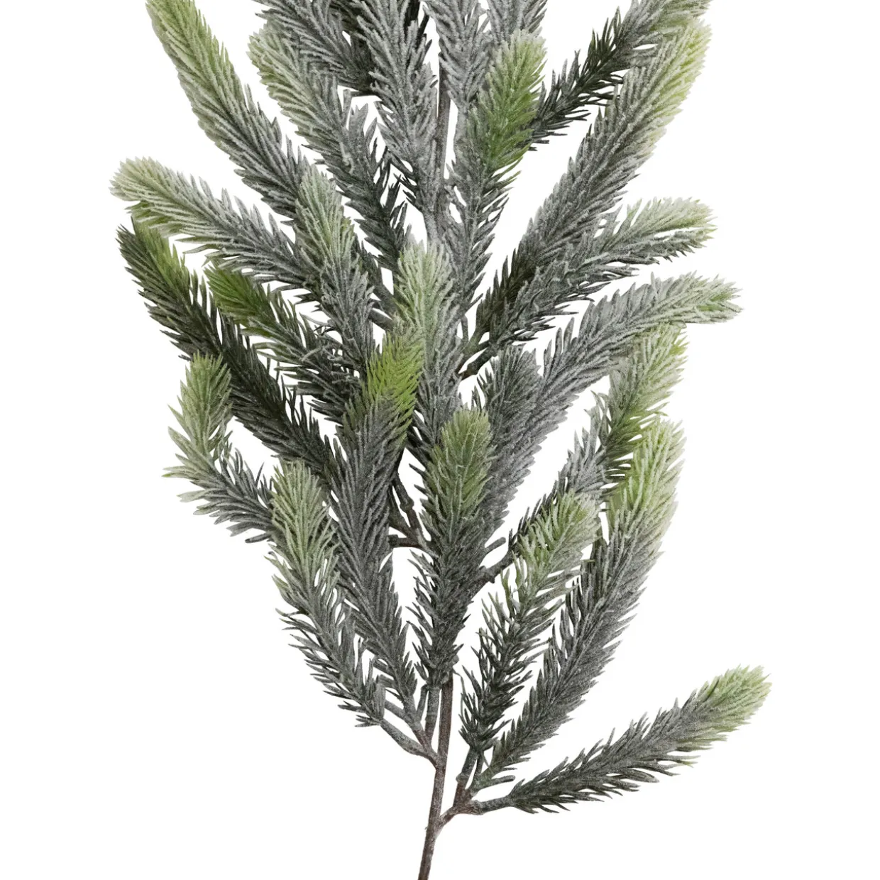 Frosted Pine Artificial Christmas Garland - 6' - Unlit