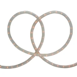 100ft Clear Incandescent Outdoor Christmas Rope Lights