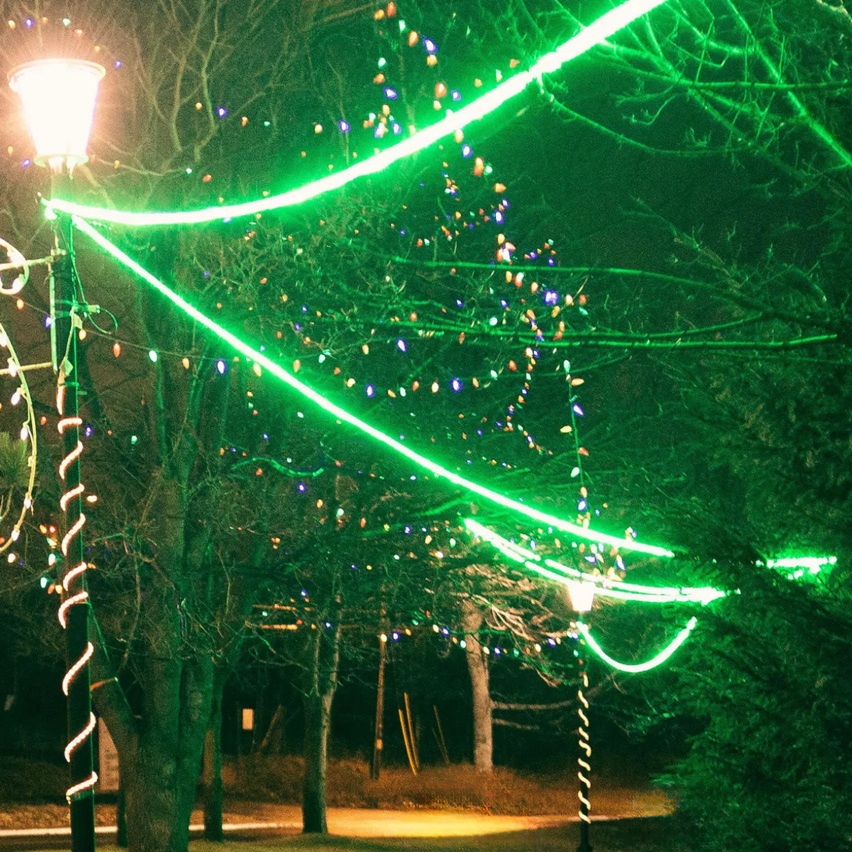 18ft Green LED Christmas Rope Lights