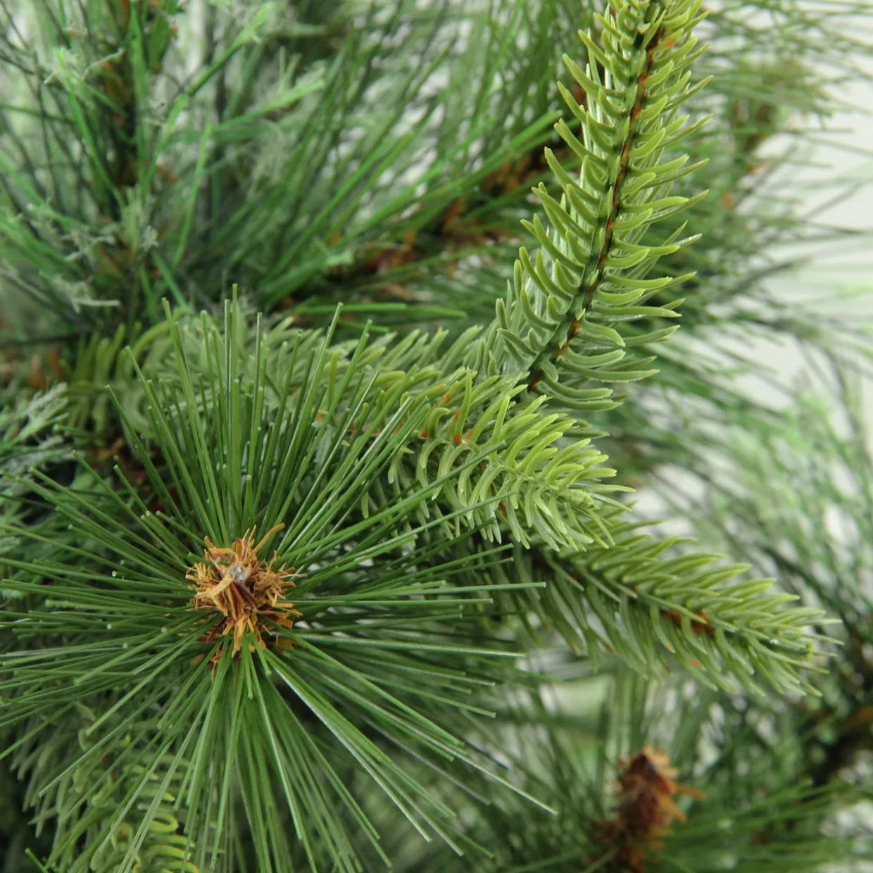 Full Ashcroft Cashmere Pine Artificial Christmas Tree - 3' - Unlit