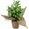 Iced Artificial Christmas Holly Berry Plant in Burlap Base - 8"