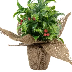 Iced Artificial Christmas Holly Berry Plant in Burlap Base - 8