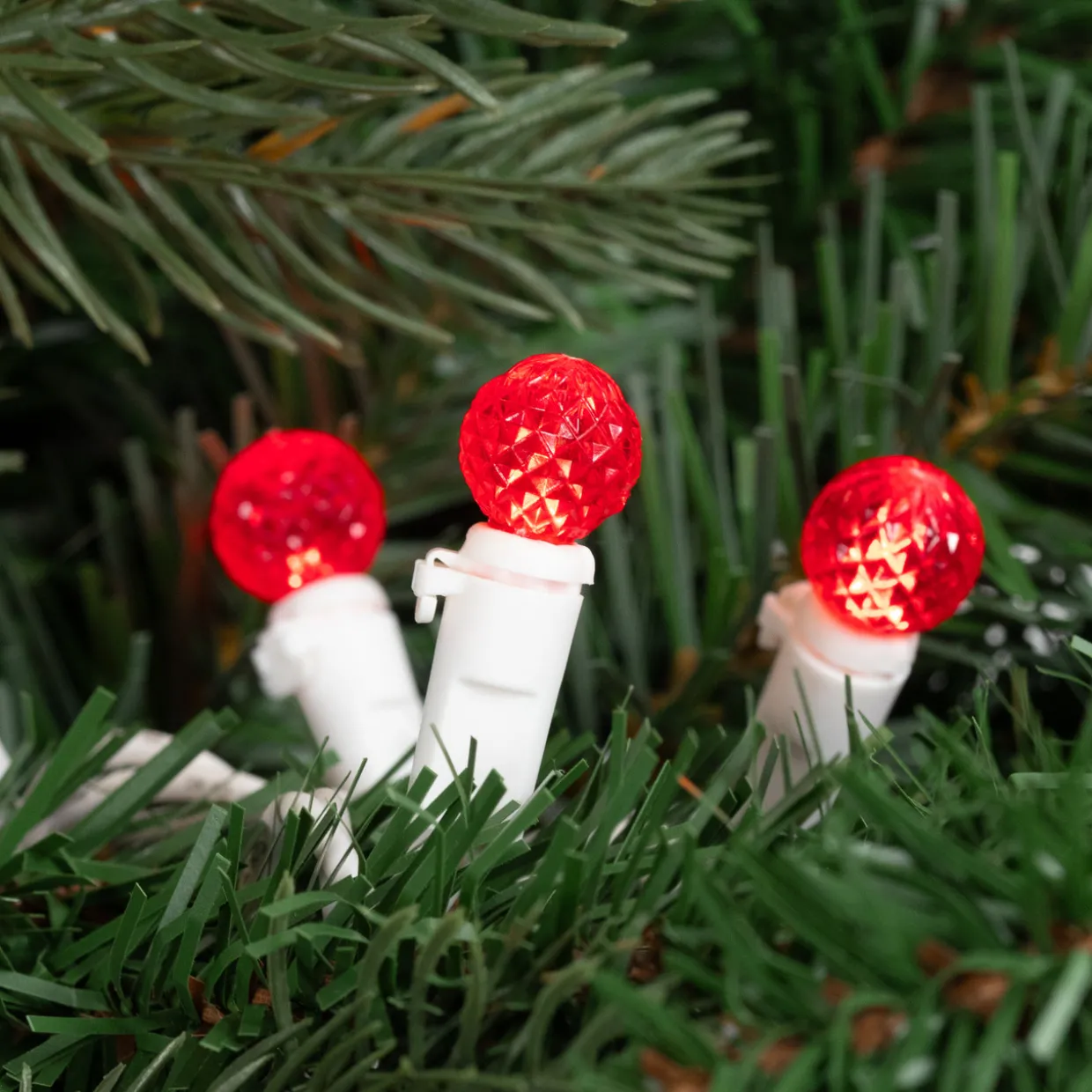 LED G12 Berry Christmas Lights - Red - 16' White Wire -50 ct