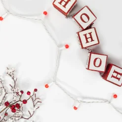 LED G12 Berry Christmas Lights - Red - 16' White Wire -50 ct