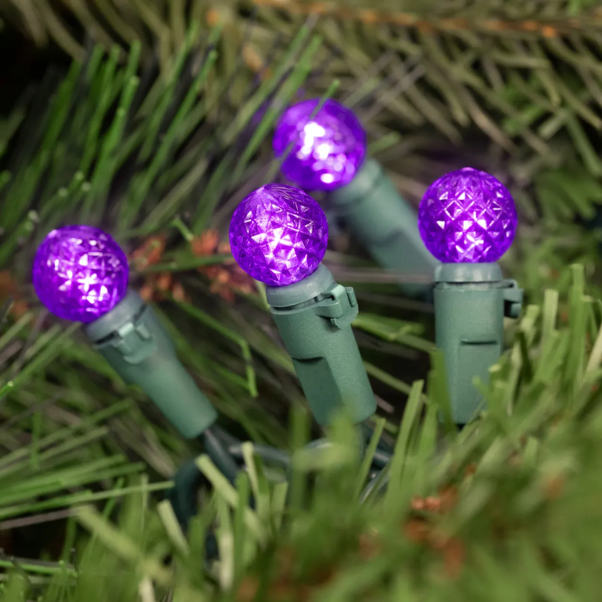 LED G12 Berry Christmas Lights - Purple - 16' Green Wire - 50 ct