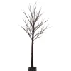 LED Lighted Birch Twig Tree Outdoor Christmas Decoration - 6' - Warm White Lights