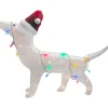 LED Lighted Dachshund Dog in Santa Hat Outdoor Christmas Decoration - 32" - Multicolor