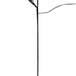 Lighted Berry and Pinecone Christmas Pine Spray - 29