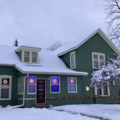 Lighted Snowflake Window Silhouette Christmas Decoration - 20