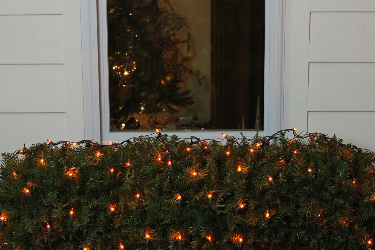 Mini Incandescent Net Style Christmas Lights - Orange - 4' x 6' - Green Wire