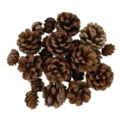 Ornaments, Pinecones and Stars Christmas Decorations - 6