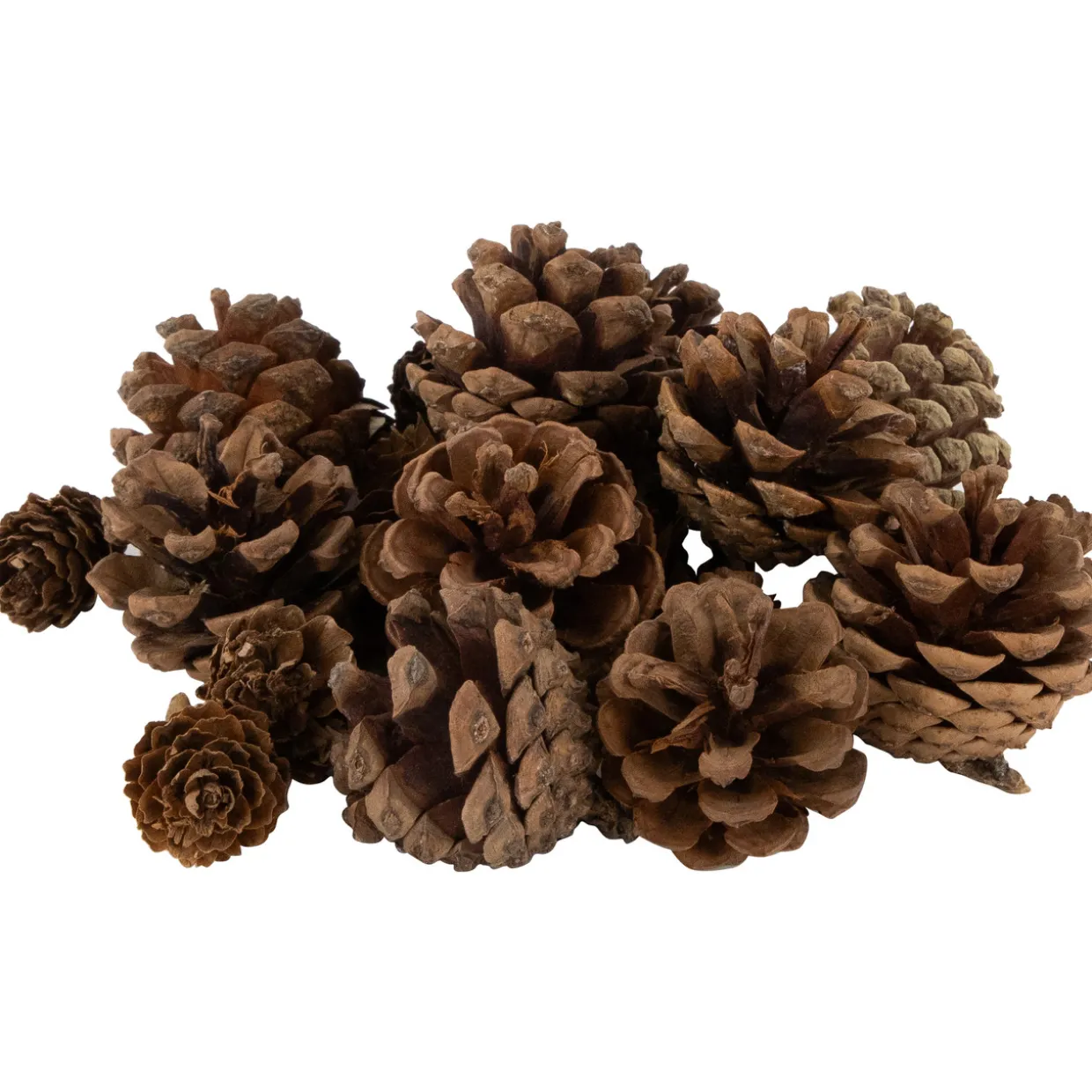 Ornaments, Pinecones and Stars Christmas Decorations - 6"