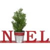 Potted Faux Pine in Metal "NOEL" Planter Christmas Decoration - 13" - Red