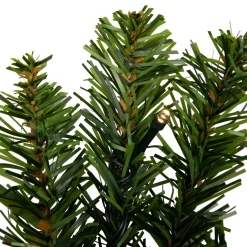 Pre-Lit Battery Operated Canadian Pine Christmas Wreath - 24