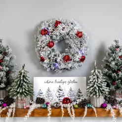 Pre-Lit Battery Operated Snowy Bristle Pine Christmas Wreath - 24