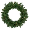 Pre-lit Chatham Pine Artificial Christmas Wreath, 24-Inch, Multi-Color Lights