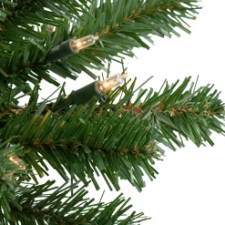 Pre-Lit Dorchester Pine Artificial Christmas Swag - 28