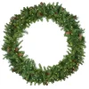 Pre-Lit LED Dakota Red Pine Artificial Christmas Wreath - 48-Inch, Warm White Lights