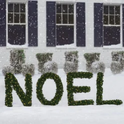 Pre-Lit Noel Artificial Pine Christmas Yard Decoration - 5.5'