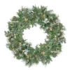 Pre-Lit Snow Mountain Pine Artificial Christmas Wreath - 30" - Clear Lights