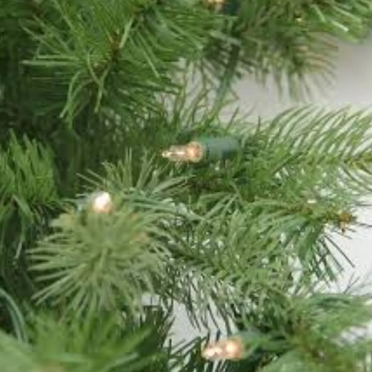 Pre-Lit Snow Mountain Pine Artificial Christmas Wreath - 30" - Clear Lights