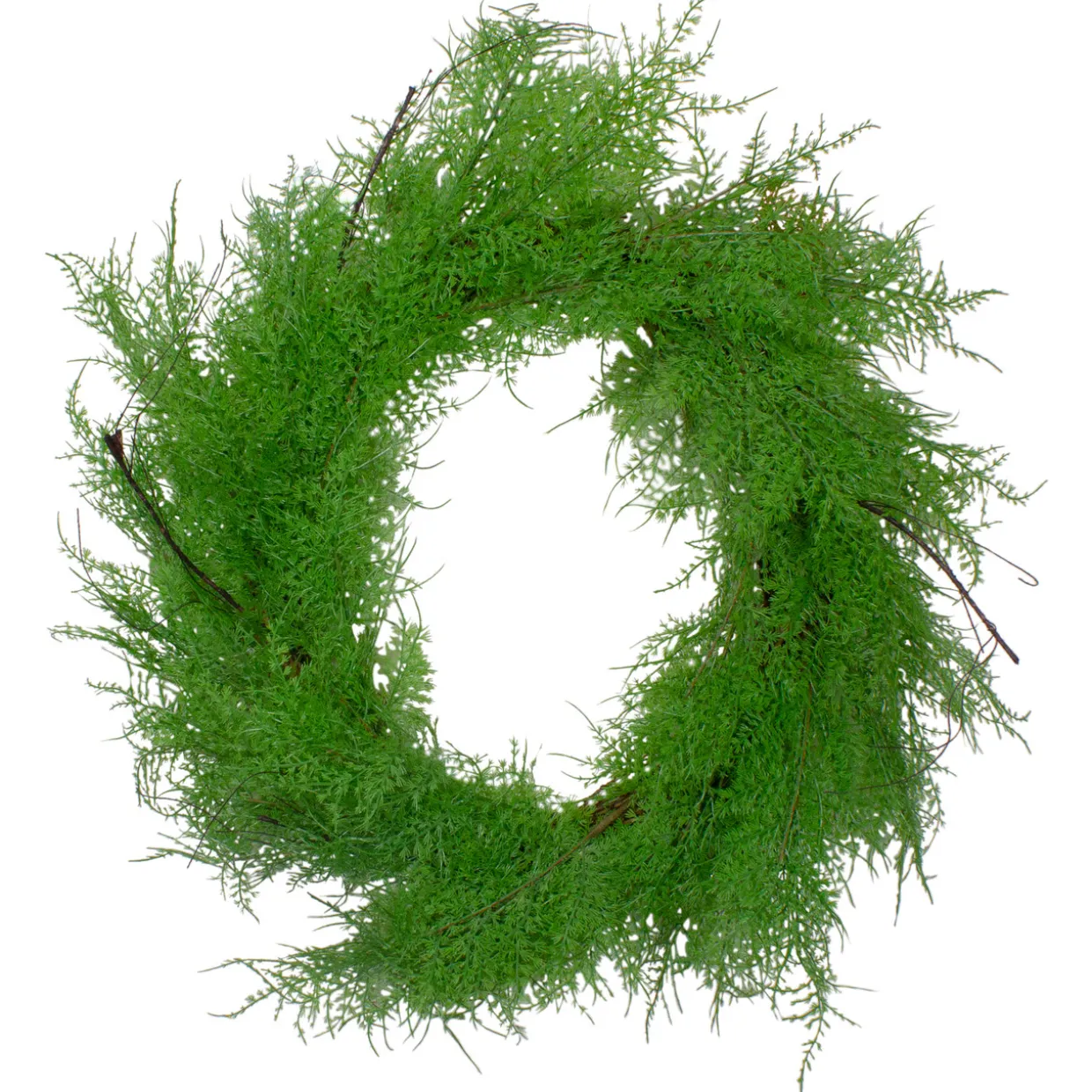 Real Touch™? Artificial Cedar Christmas Wreath - 24" - Unlit