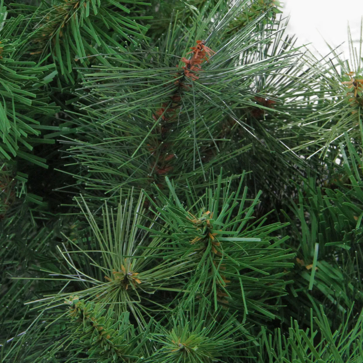 Real Touch™? Canyon Mixed Pine Artificial Christmas Wreath - 48" - Unlit