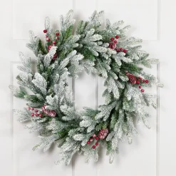 Real Touchâ„¢? Flocked Snowcap Grove Fir Artificial Christmas Wreath - 24" - Unlit
