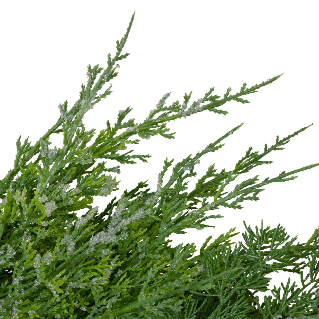 Real Touch™? Frosted Cedar and Pinecone Artificial Christmas Wreath - 26" - Unlit