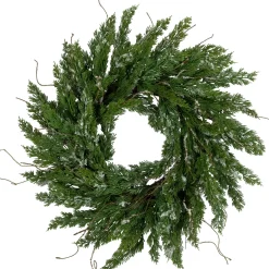 Real Touchâ„¢? Iced Cedar Artificial Christmas Wreath - 24" - Unlit
