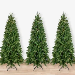 Real Touch™? Pre-Lit Slim Washington Frasier Fir Christmas Tree - 6.5' - Dual Color LED Lights
