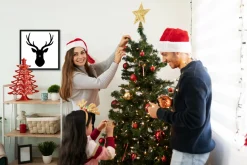 Rudolph the Red Nosed Reindeer 15.5