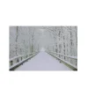 Small Fiber Optic Lighted Winter Wooden Bridge Canvas Wall Art 12" x 15.75"