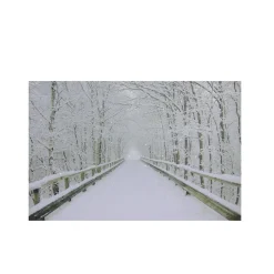 Small Fiber Optic Lighted Winter Wooden Bridge Canvas Wall Art 12" x 15.75"