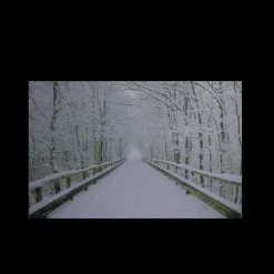 Small Fiber Optic Lighted Winter Wooden Bridge Canvas Wall Art 12" x 15.75"