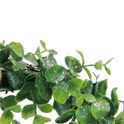 Sparkling Silver and Green Grass Decorative Artificial Christmas Wreath - 8.75-Inch, Unlit