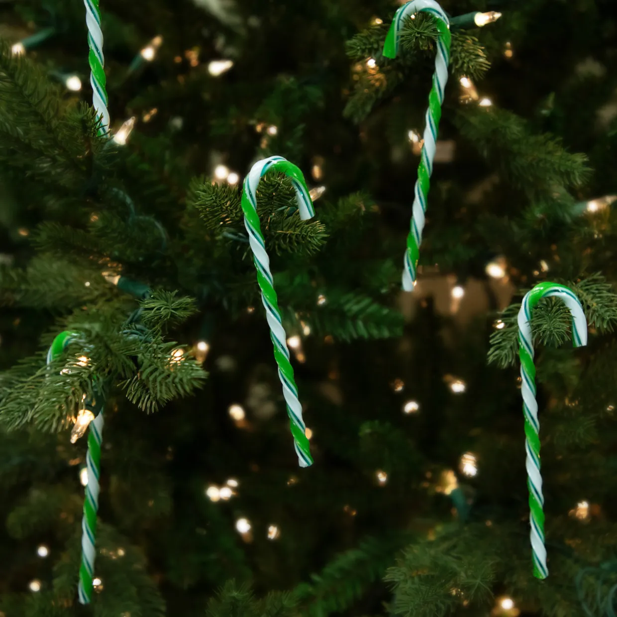 Twist Candy Cane Christmas Ornaments - 6" - Green and White - 12 ct