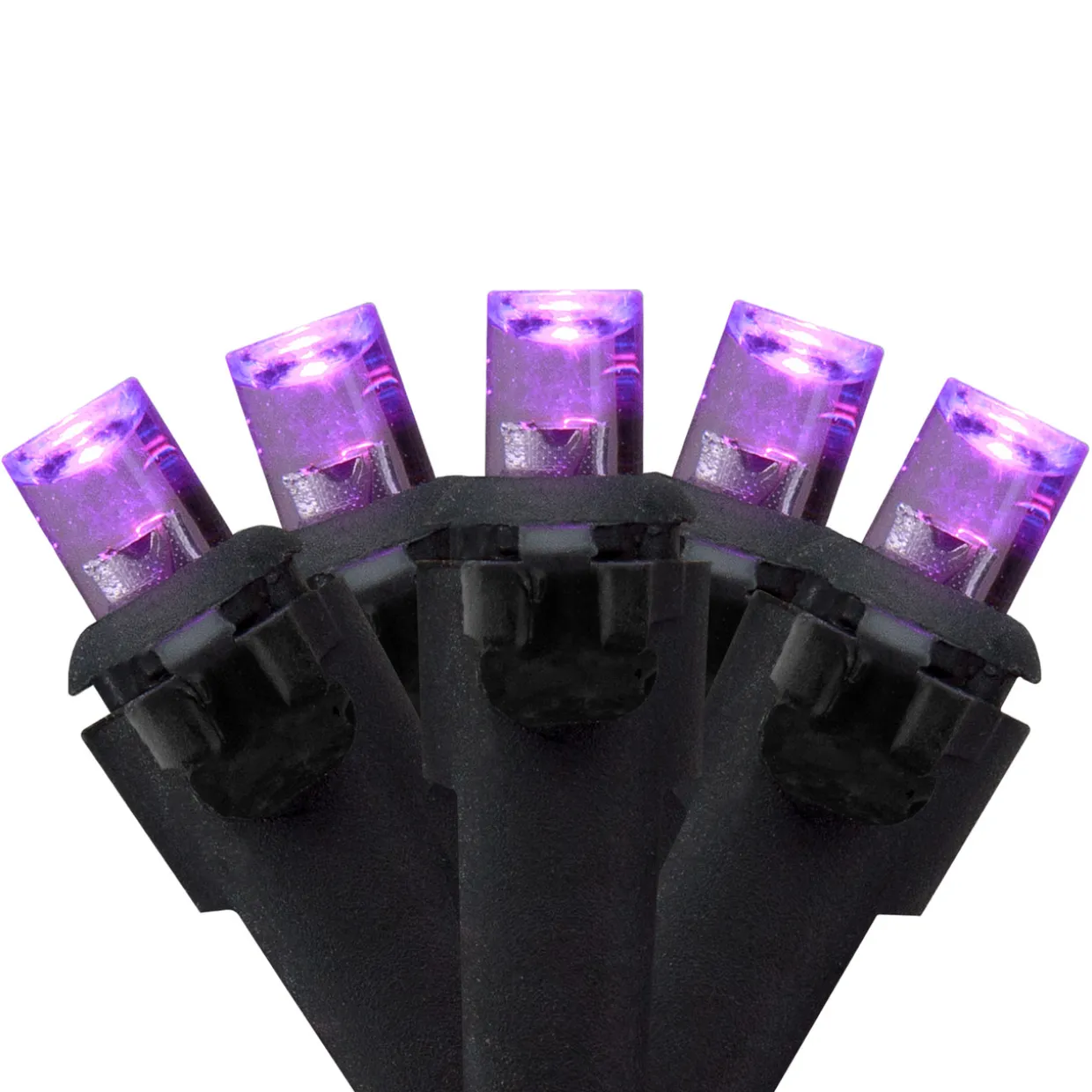 Wide Angle LED Christmas Lights - Purple - 16' Black Wire - 50ct