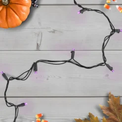 Wide Angle LED Christmas Lights - Purple - 16' Black Wire - 50ct