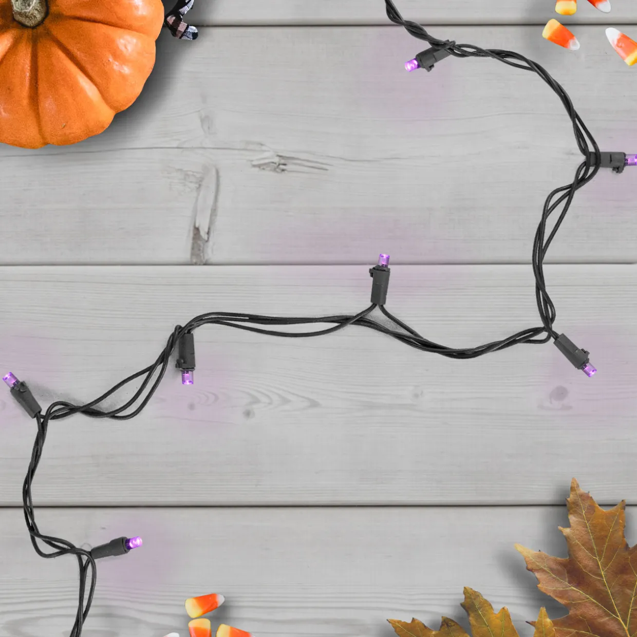 Wide Angle LED Christmas Lights - Purple - 16' Black Wire - 50ct