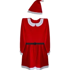 Women's 2-Piece Santa Costume Size: Plus Size
